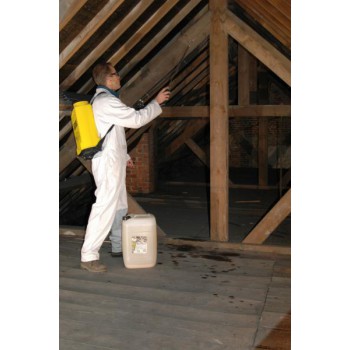 Wood Bliss by Galtane is used to treat a wood roof structure affected by wood-eating insects.